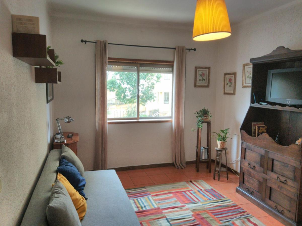 ! Free Parking Street ! Ground Floor With Washer! OOporto Exteriör bild